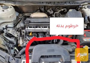خرطوم بدنه