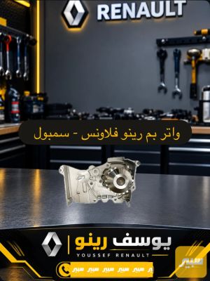 واتر بم رينو