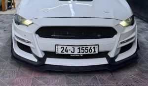 لحيه دعاميه شيلبي