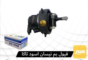 فيتبم نيسان اسود
