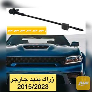 زراكة بنيد جارجر جالنجر