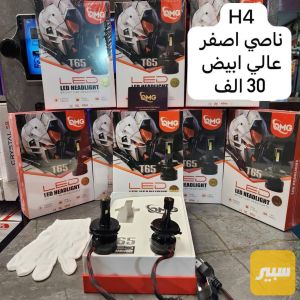 كلوب زنون كل القياسات (اصفر +ابيض)