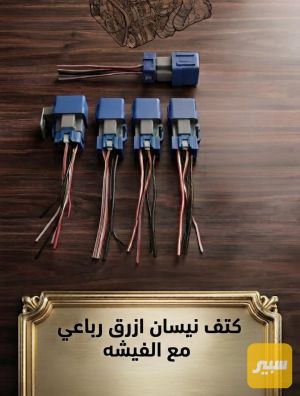 كتف نيسان مع فيشه