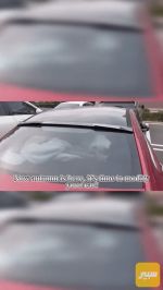 سبويلر سياره للجامه الخلفية - صورة 1