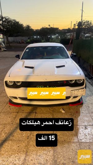 زعانف لحيه جالنجر هيلكات احمر