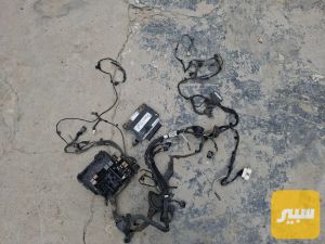 عقل وضفيرة النترا وراد امريكي