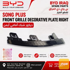 قطعة ديكور شبكة امامية يمين