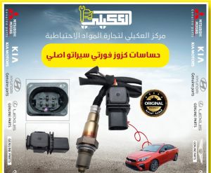 حساس كزوز فورتي 2020-2026