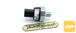 جوزه دهن صني هندي