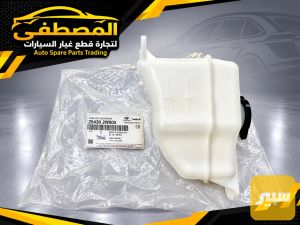 دبة ماء سنتافي سورنتو مضلع