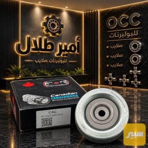 رولة باجيور مسح