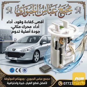 قاعدة فيت بم بيجو 307