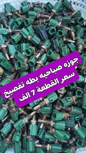 جوزه صباحيه