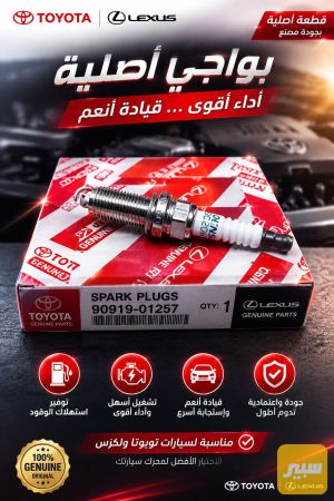 بلكات كورلا كامري 14×14