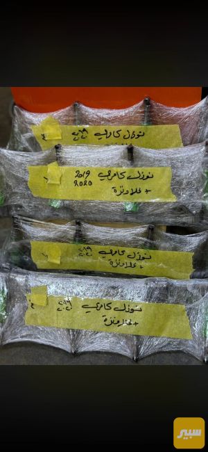 نوزل