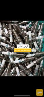 بلكات كورلا كروس - صورة 2