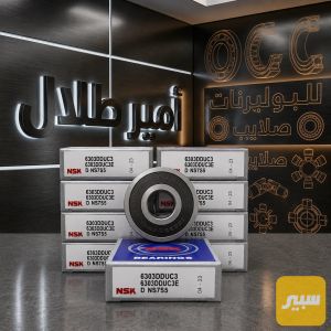 بولبرن 6303 داينمو كوري عام NSK بولندي