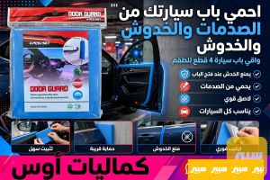سفنجة باب