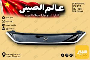 شباك لوكر BYD Qin L