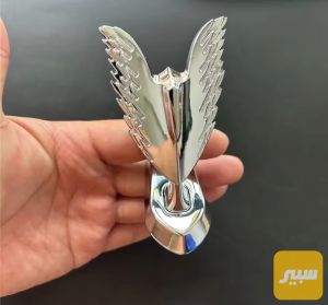 علامه بنيد روز رايز