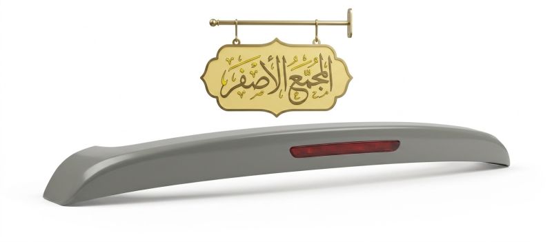 سبايدرخلفي صني هندي - نيسان صني