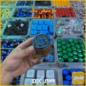 (سعر مفرد) - موسيقى بگ (12-24 فولت)