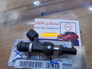 نوزلات سني هندي