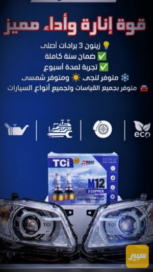 زنن عالى وضمان