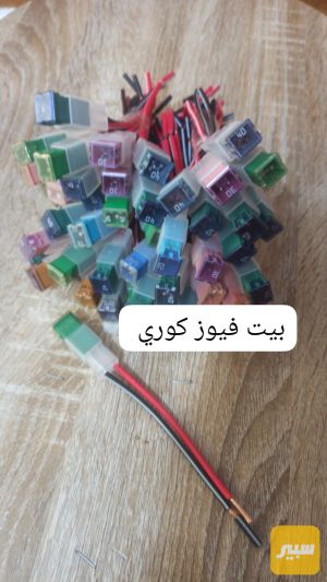 بيت فيوز كوري