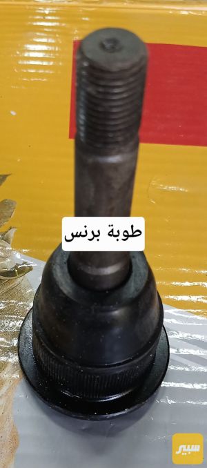 طوبة برنس طخم