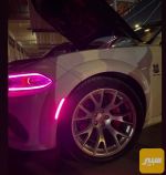 متوفر انواع فسفورات لدعاميات - صورة 4