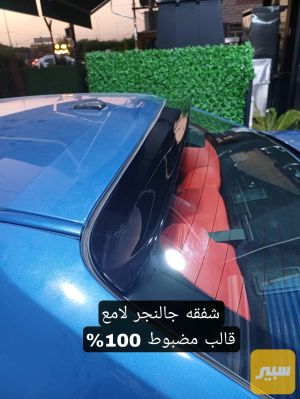 شفقه جالنجر عظم اسود لامع