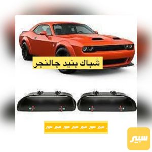 زوج قبق بنيد جالنجر