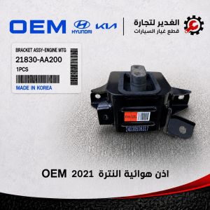 أذن هوائيه النترا