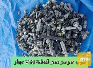 هولدر