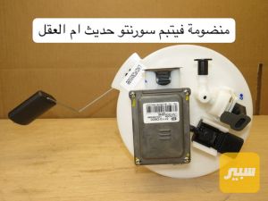 منضومة فيتبم سورنتو حديث (ام العقل )