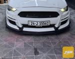 لحيه شيلبي موستنك - صورة 1