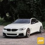 لحية كاربون فايبرBMW - صورة 3