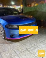 لحيه الوان جارجر - صورة 3