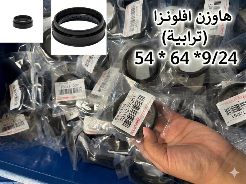 جبنة هاوزن (ترابية).خلفية افلونزا مرزي - الصدر والستيرن - تويوتا هايلوكس
