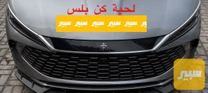 لحية امامية