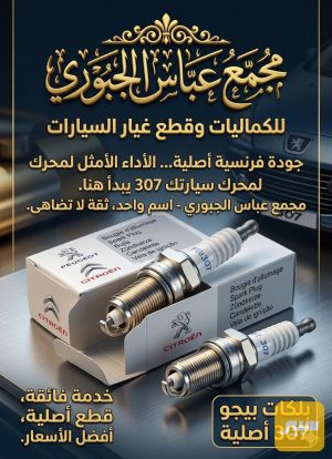 بلكات بيجو فرنسي