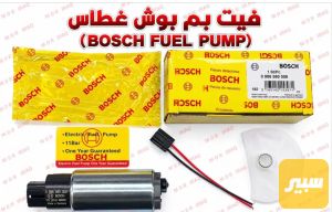 فيتبم بوش