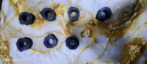 بوشات سهم 7قطع