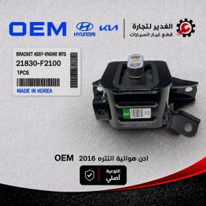 أذن هوائية النترا