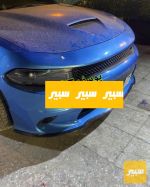 لحيه الوان جارجر - صورة 5