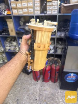 قاعده فيت بم