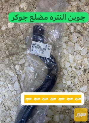 جاين النترا مضلع كوري اصلي