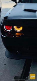 زرع لدات - صورة 3