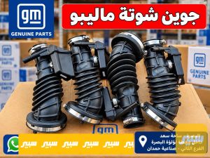 جوين شوتة ماليبو